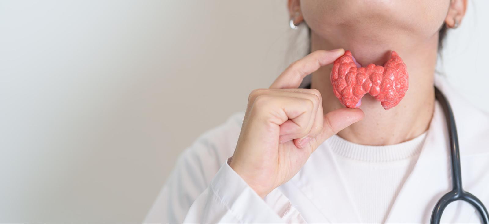 A female doctor holding a model of a thyroid gland against their neck, with stethoscope visible.