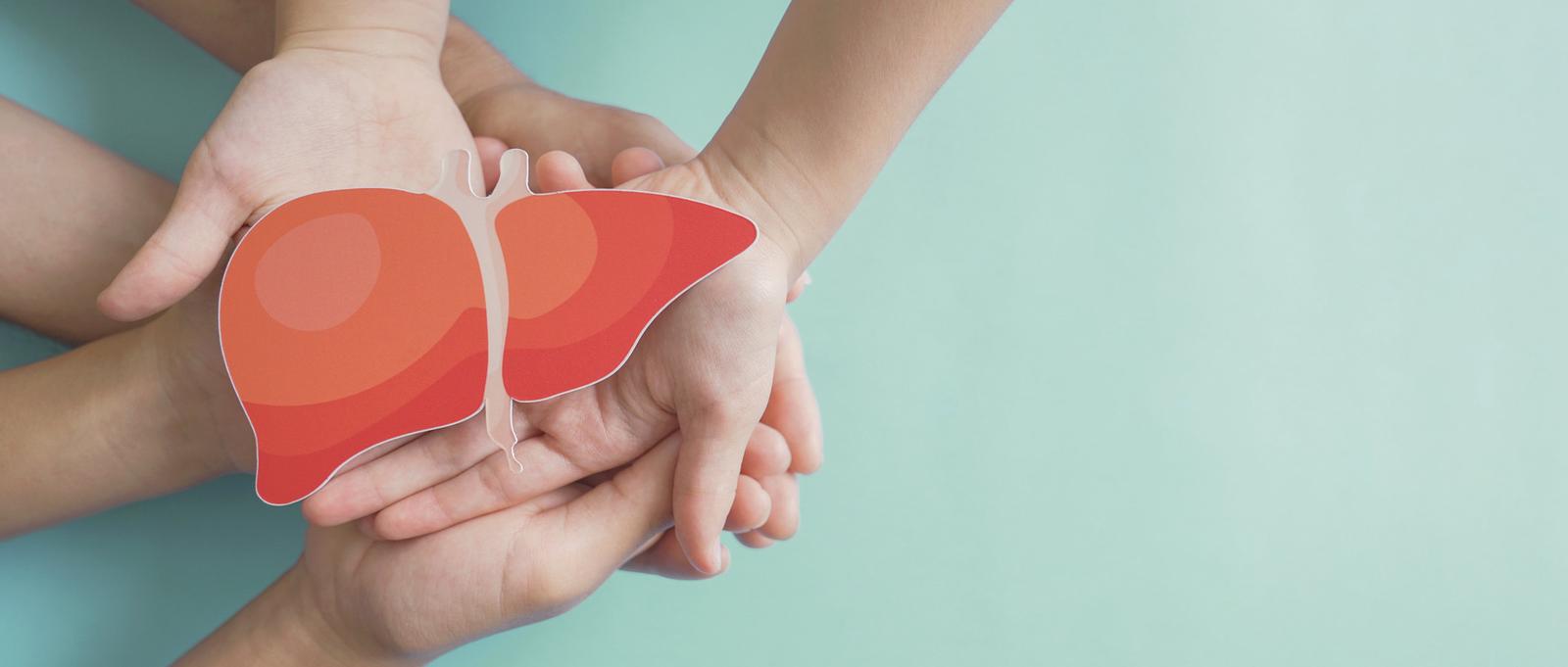 Three pairs of hands holding a cutout of a liver symbolising looking after your liver