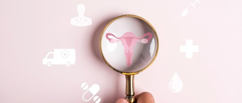Magnifying glass focusing on pink uterus illustration against pale background with medical icons