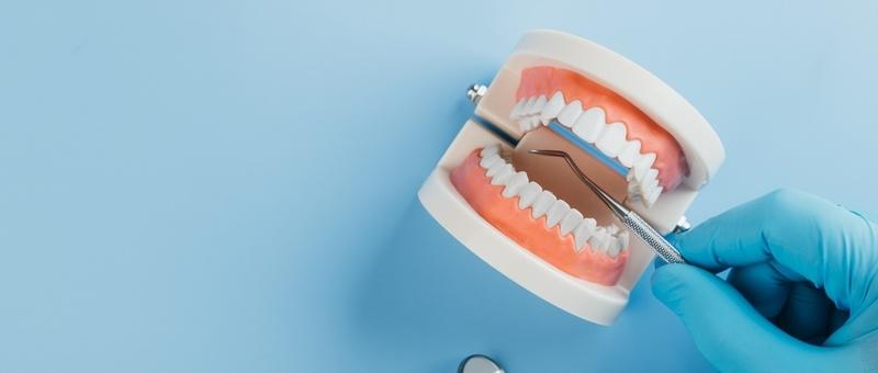 Isolated set of model teeth with blue surgically gloved hands holding dental equipment against a pale blue background.