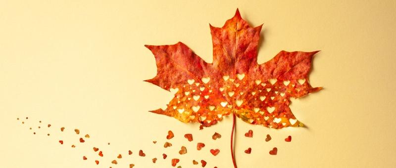 Red autumn maple leaf with patterned cut-out hearts detail against a pale yellow background.