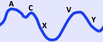 Jugular venous pulse