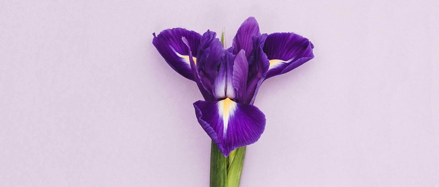 Bartholin's cyst and abscess