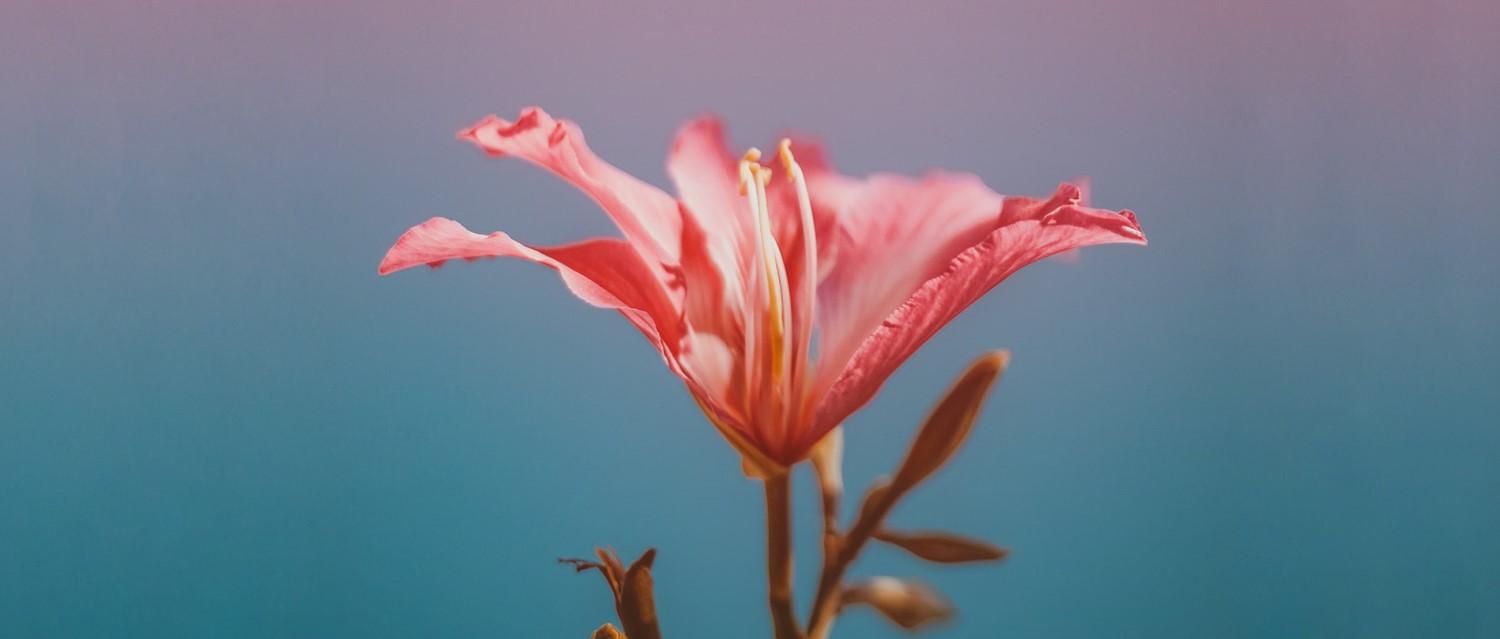 Why you shouldn't skip your smear test