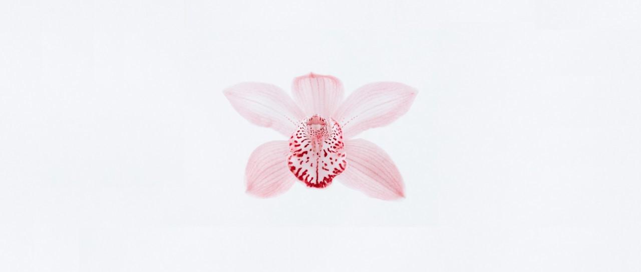 HPV vaccine could one day eliminate cervical cancer