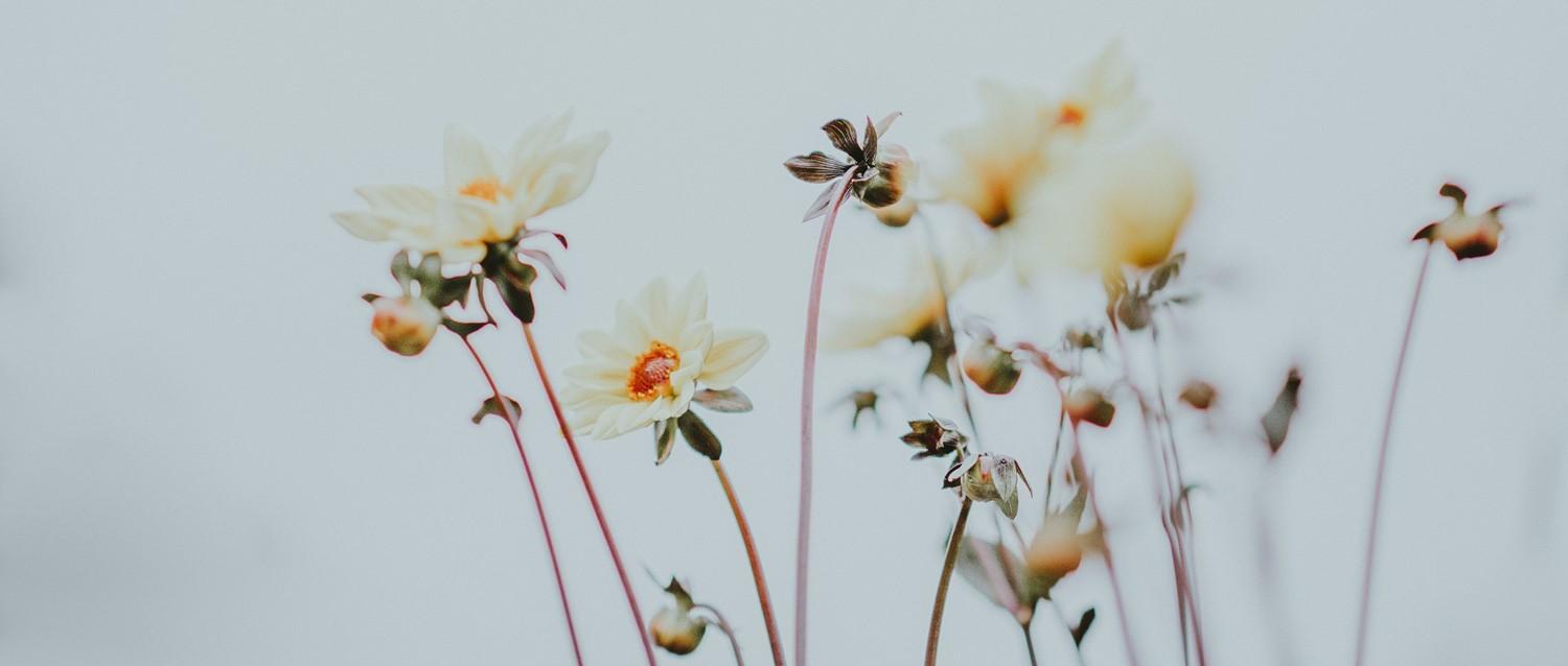 Can shaking exercises improve stress and PTSD?