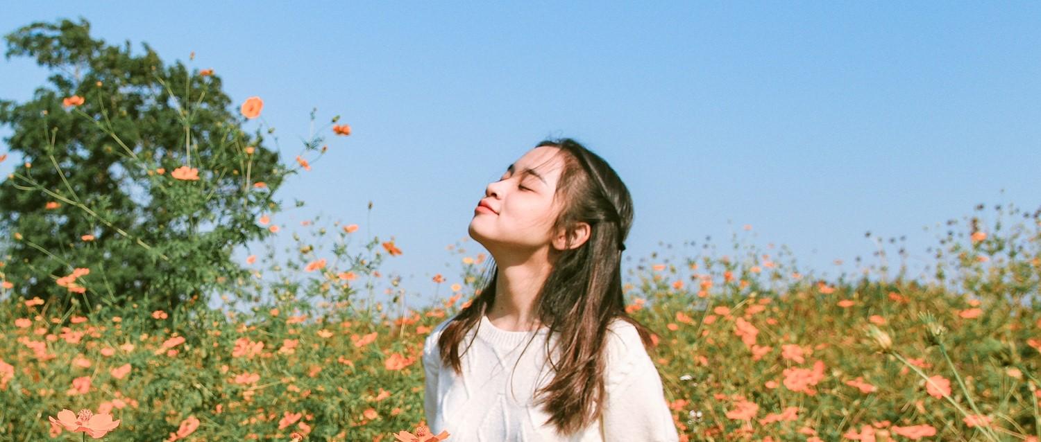 Hay fever: how your pharmacist can help