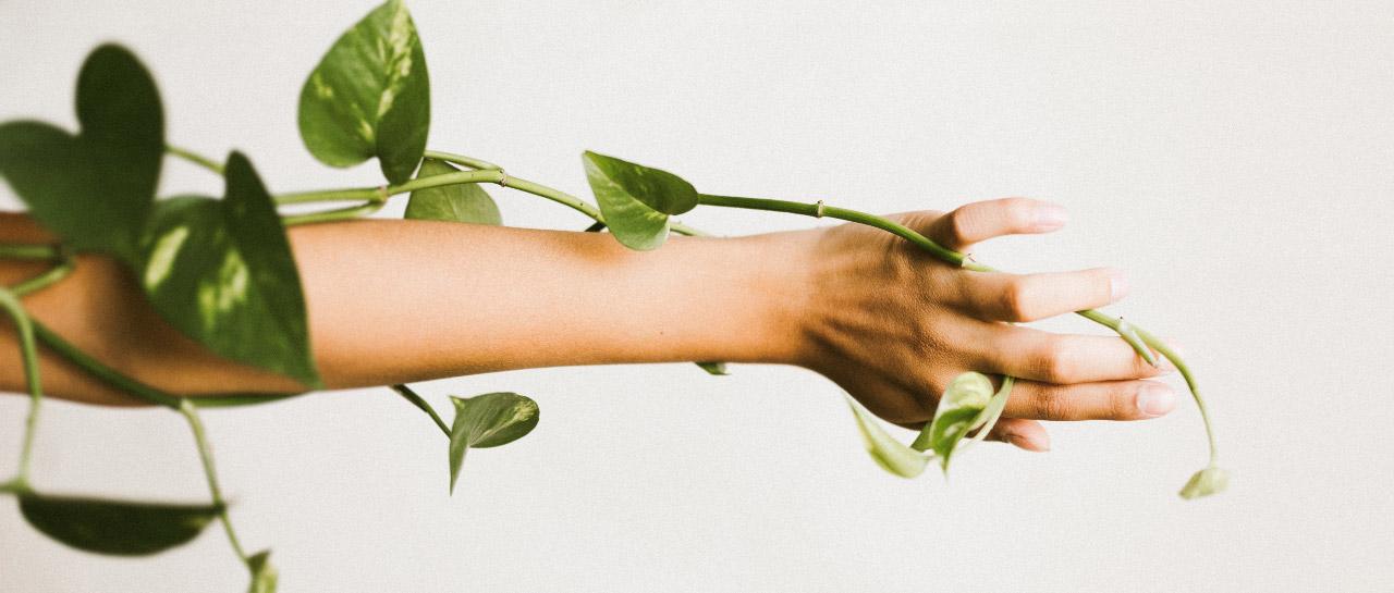 Are alcohol deaths on the rise?