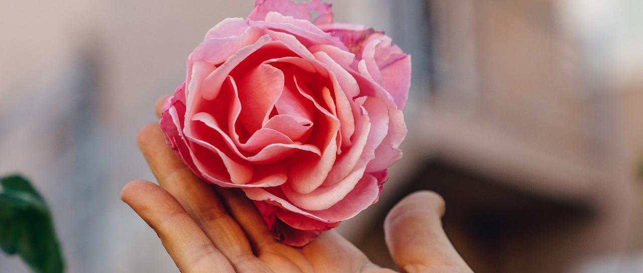 What do normal labia look like?