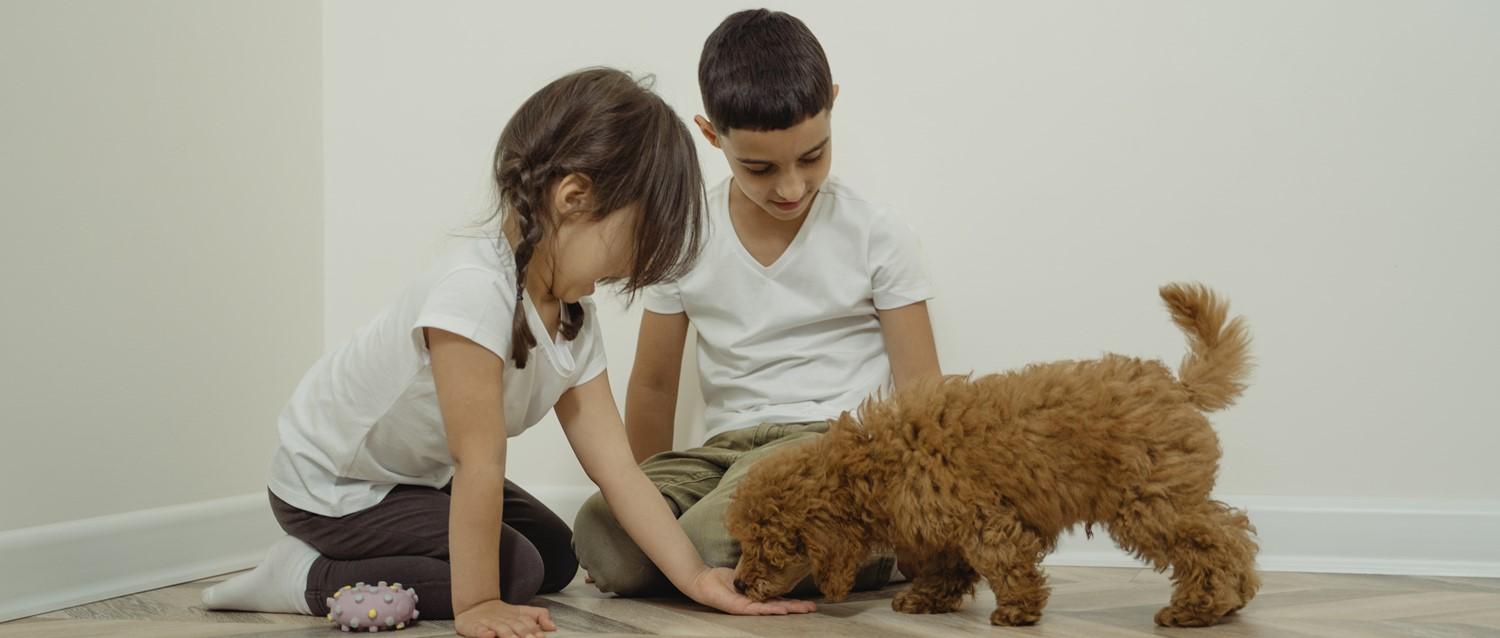 How can dogs help support families with autistic children?