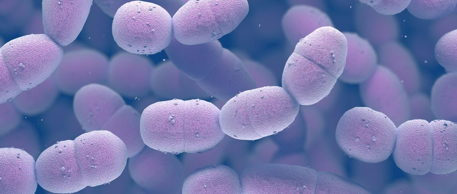 Strep A: What is invasive group A streptococcus?