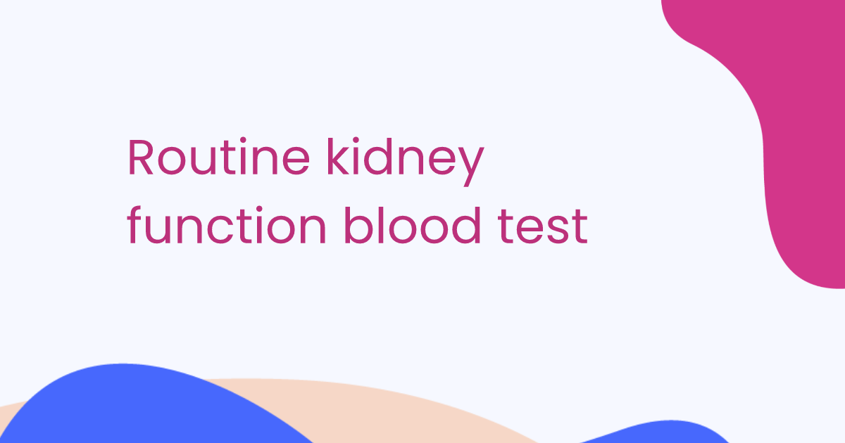 Routine kidney function blood test